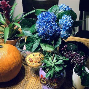 Meet your Posher, Xochil